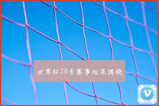 世界杯20号赛事结果揭晓