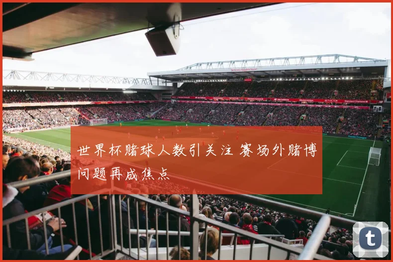 世界杯赌球人数引关注 赛场外赌博问题再成焦点