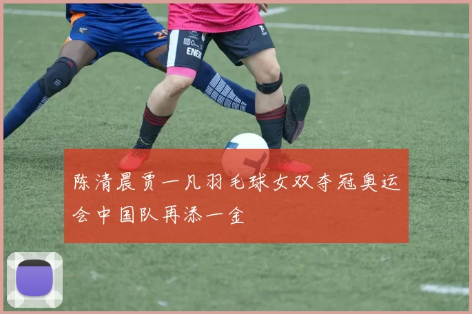 陈清晨贾一凡羽毛球女双夺冠奥运会中国队再添一金