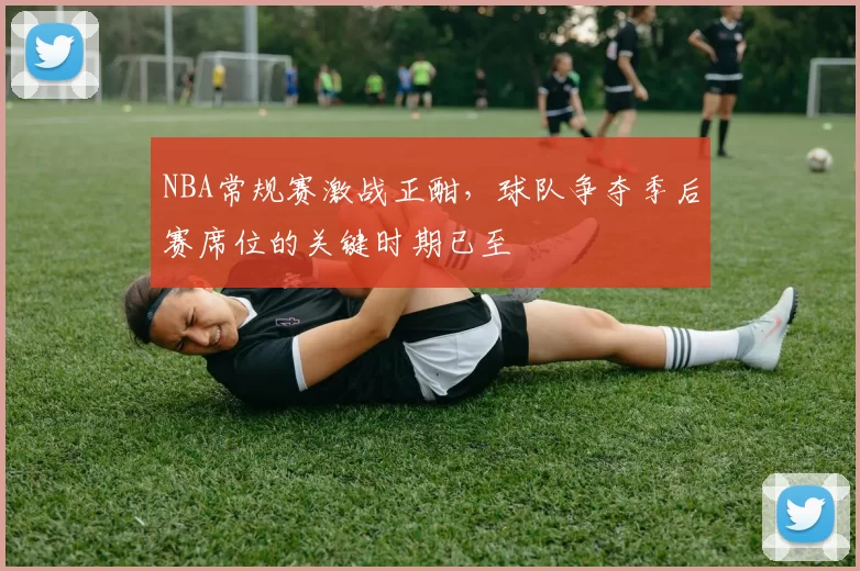 NBA常规赛激战正酣，球队争夺季后赛席位的关键时期已至