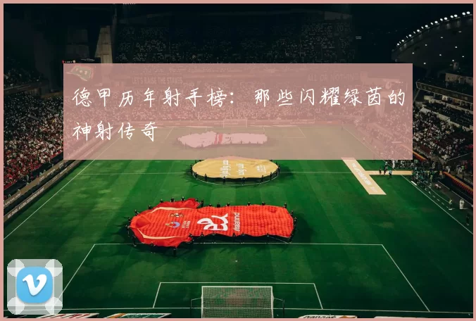 德甲历年射手榜:那些闪耀绿茵的神射传奇